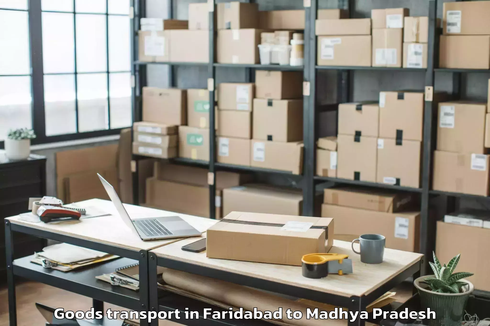 Easy Faridabad to Khilchipur Goods Transport Booking